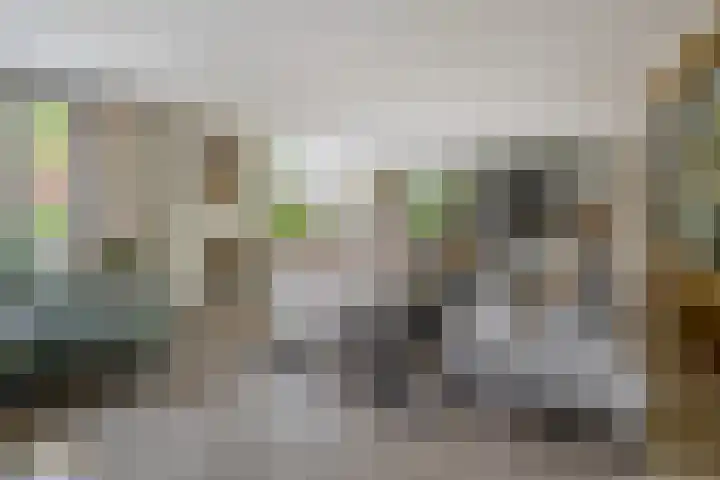 Goudhaver 5 Steyl thumbnail 6