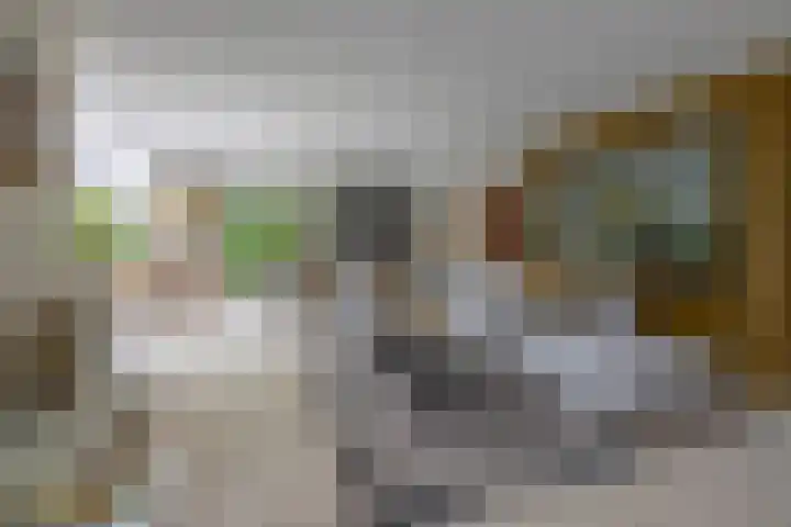Goudhaver 5 Steyl thumbnail 7