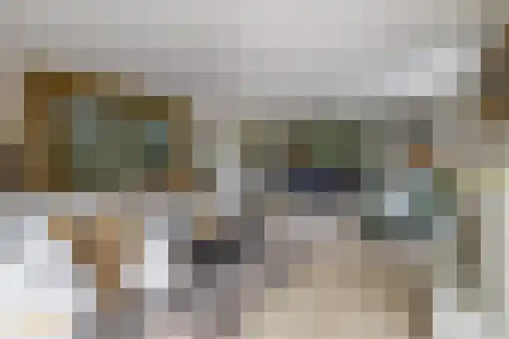 Goudhaver 5 Steyl thumbnail 8