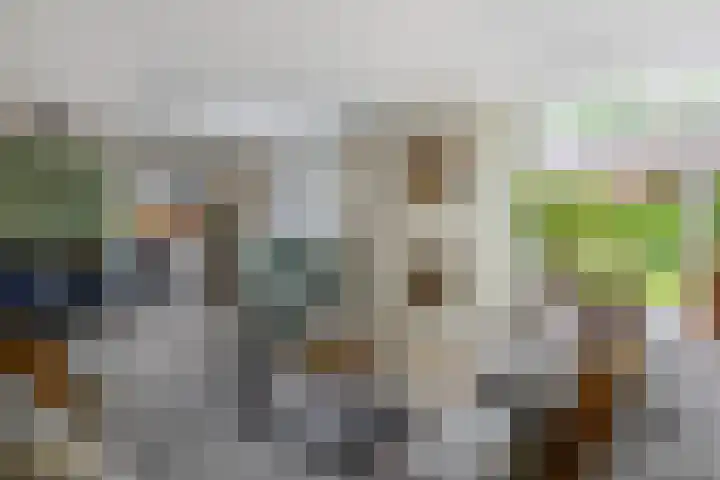 Goudhaver 5 Steyl thumbnail 9