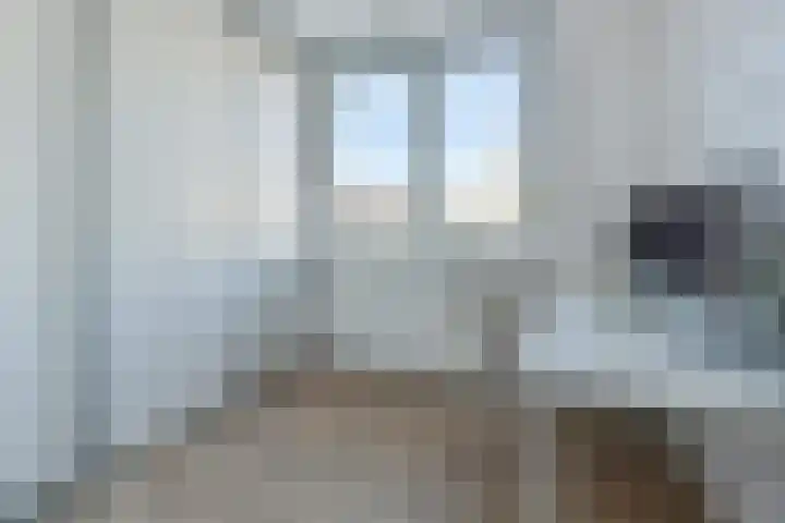 Goudhaver 58 Zeewolde thumbnail 14