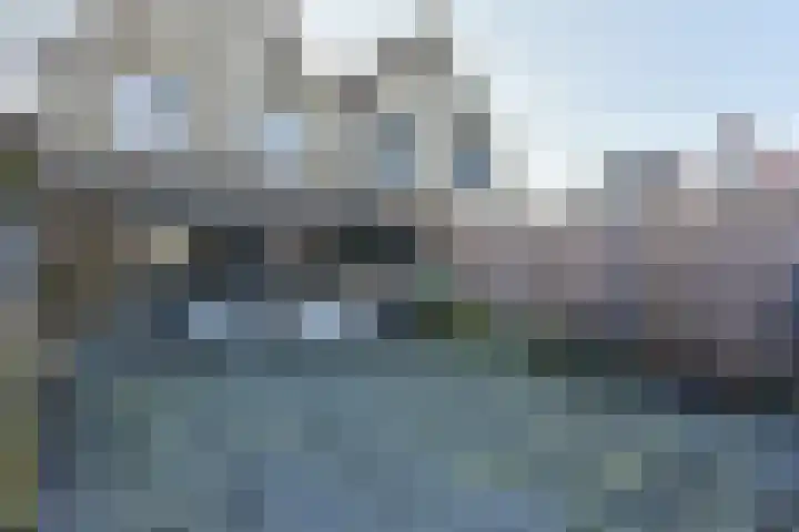Goudhaver 58 Zeewolde thumbnail 23