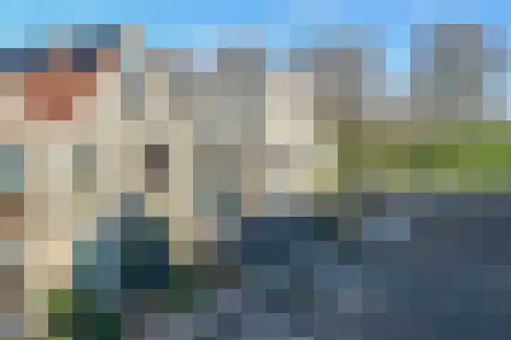 Goudhaver 58 Zeewolde thumbnail 26
