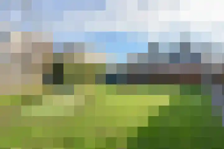 Goudhaver 58 Zeewolde thumbnail 27