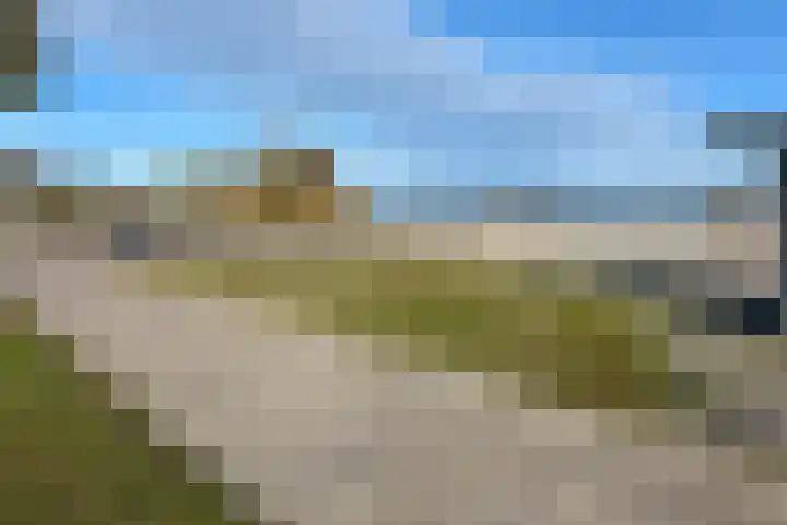 Goudhaver 58 Zeewolde thumbnail 29