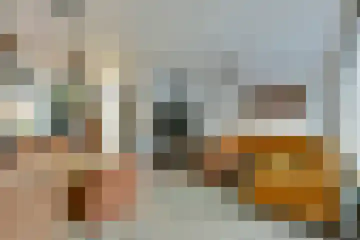 Goudhaver 58 Zeewolde thumbnail 8