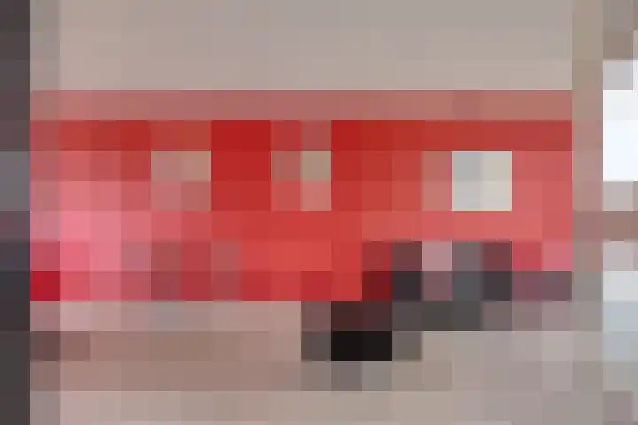 Goudhaver 79 Zeewolde thumbnail 13