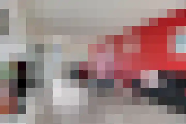 Goudhaver 79 Zeewolde thumbnail 15