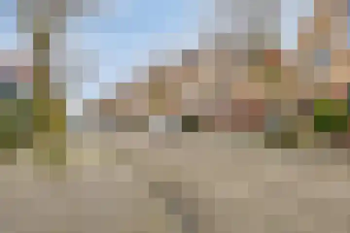 Goudhaver 79 Zeewolde thumbnail 4