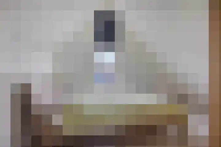 Goudhaver 79 Zeewolde thumbnail 42