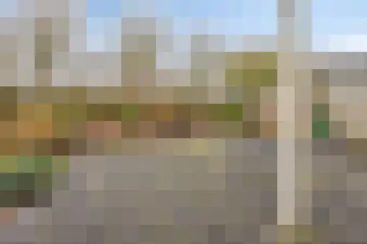 Goudhaver 79 Zeewolde thumbnail 45