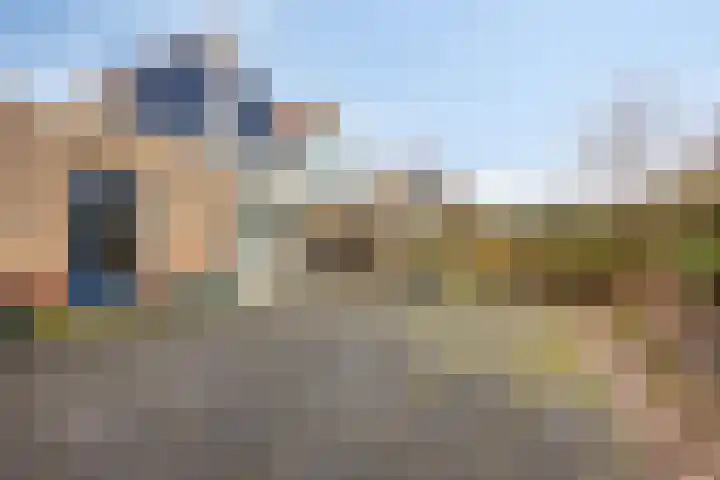 Goudhaver 79 Zeewolde thumbnail 47
