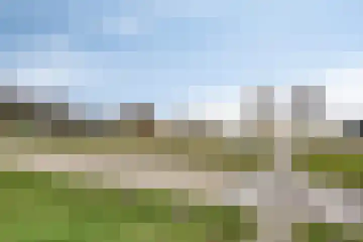 Goudhaver 79 Zeewolde thumbnail 48