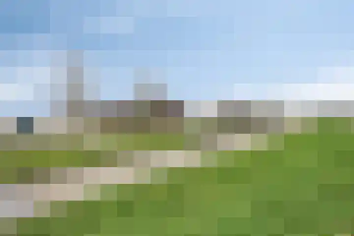 Goudhaver 79 Zeewolde thumbnail 49