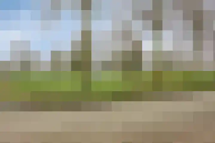 Goudhaver 79 Zeewolde thumbnail 50
