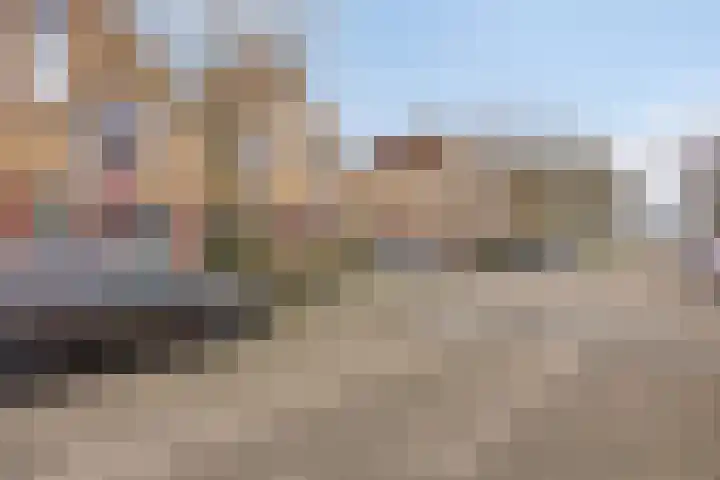 Goudhaver 79 Zeewolde thumbnail 6
