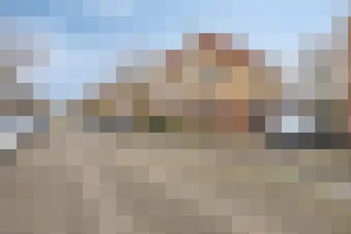 Goudhaver 79 Zeewolde thumbnail 7