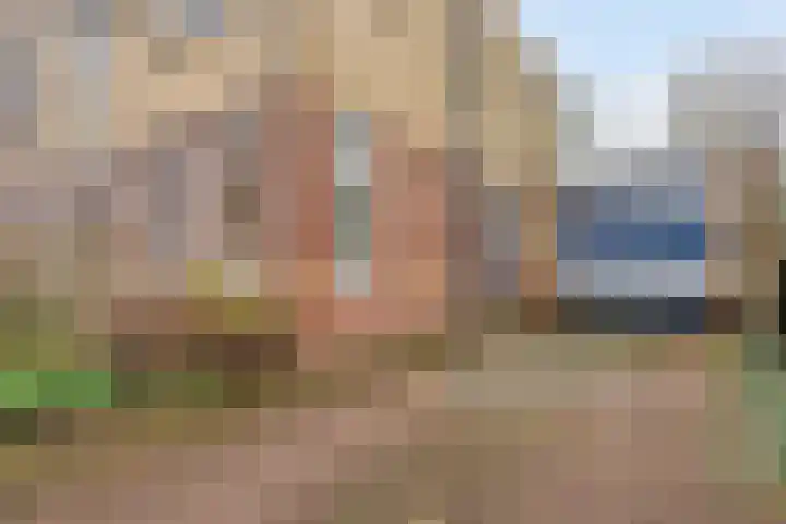 Goudhaver 79 Zeewolde thumbnail 8