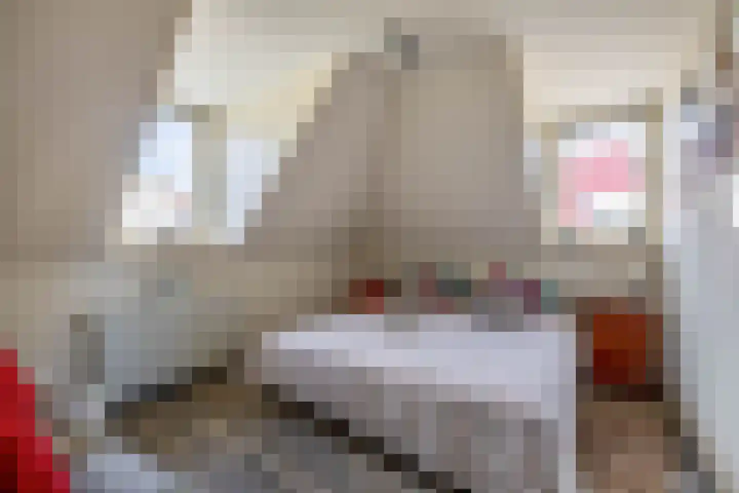 Goudhaver 8 Steyl thumbnail 14