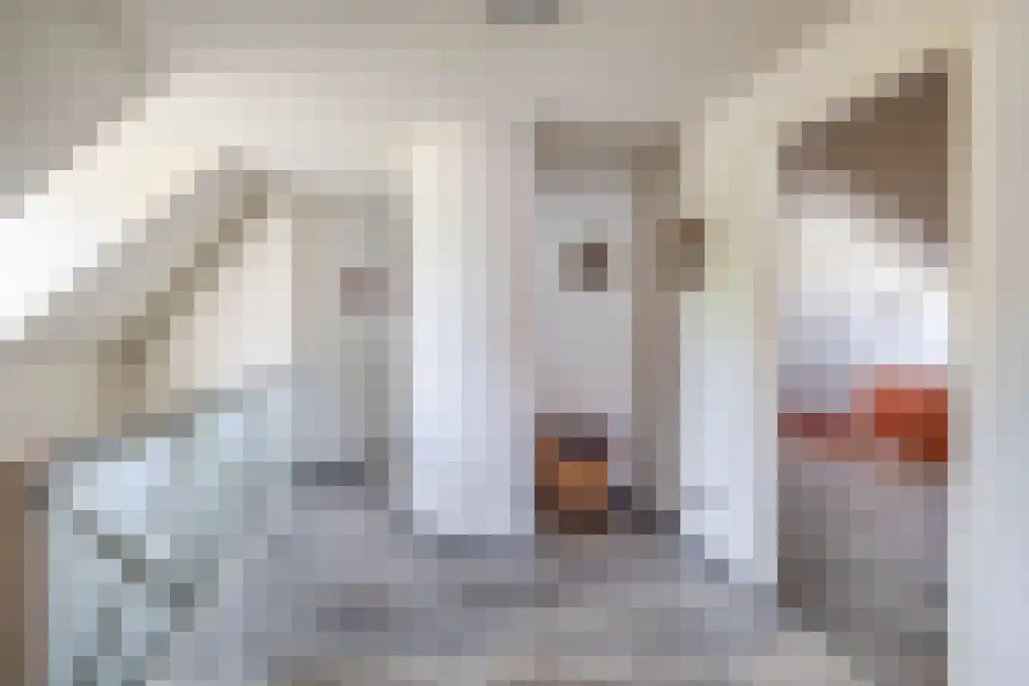 Goudhaver 8 Steyl thumbnail 16