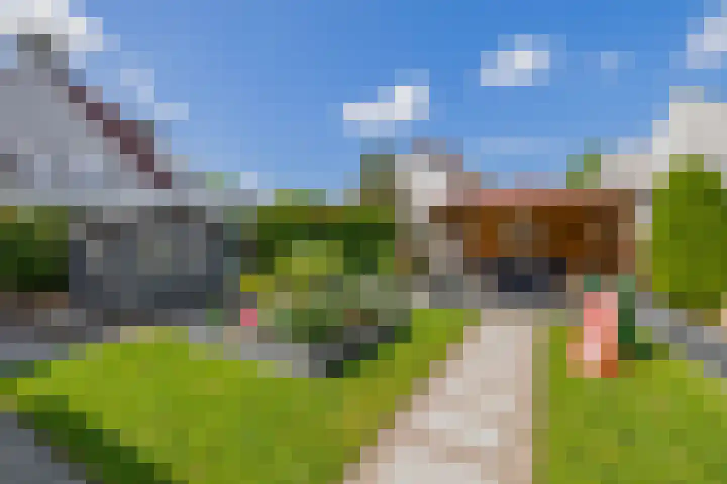 Goudhaver 8 Steyl thumbnail 22