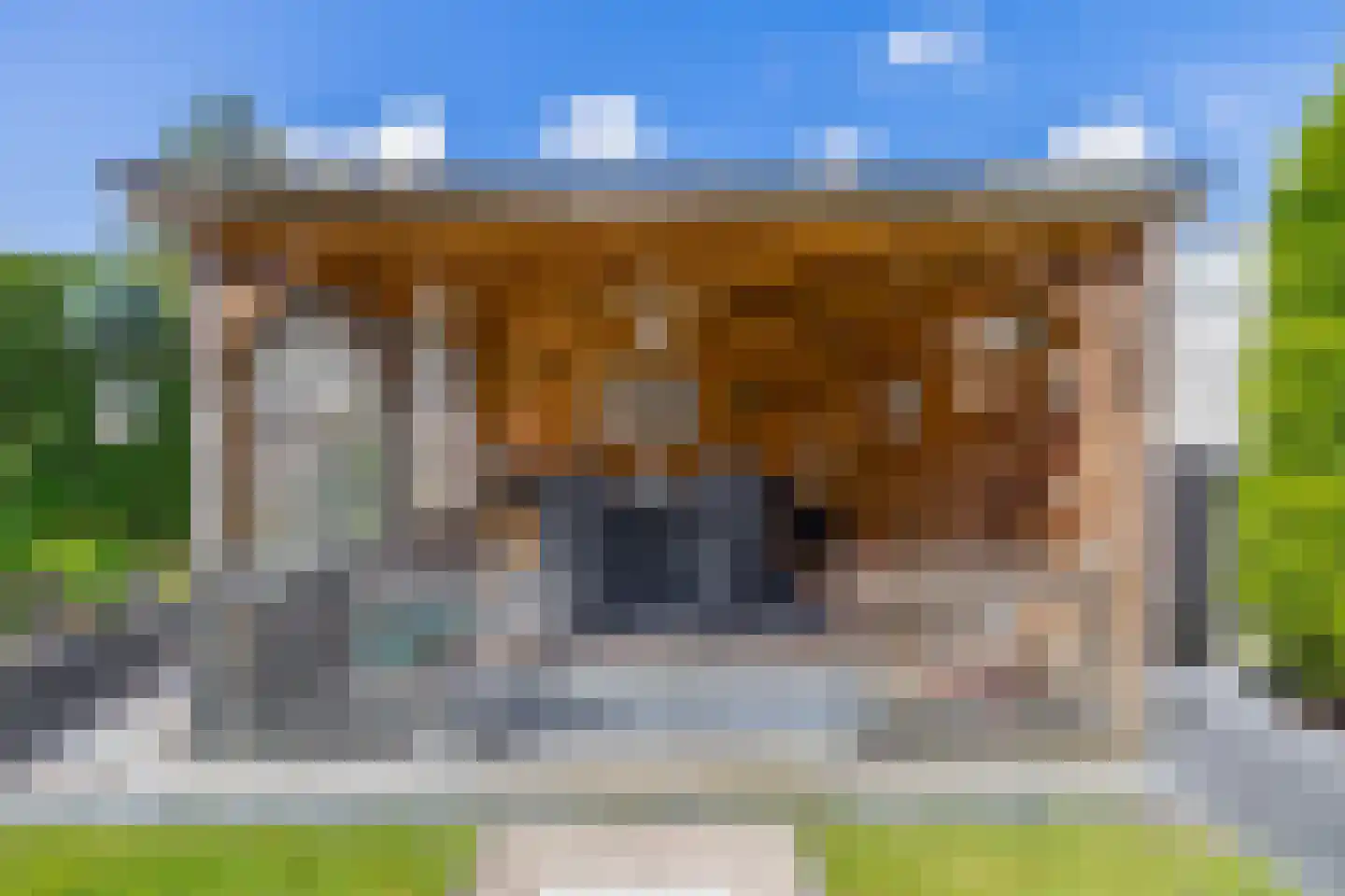 Goudhaver 8 Steyl thumbnail 23