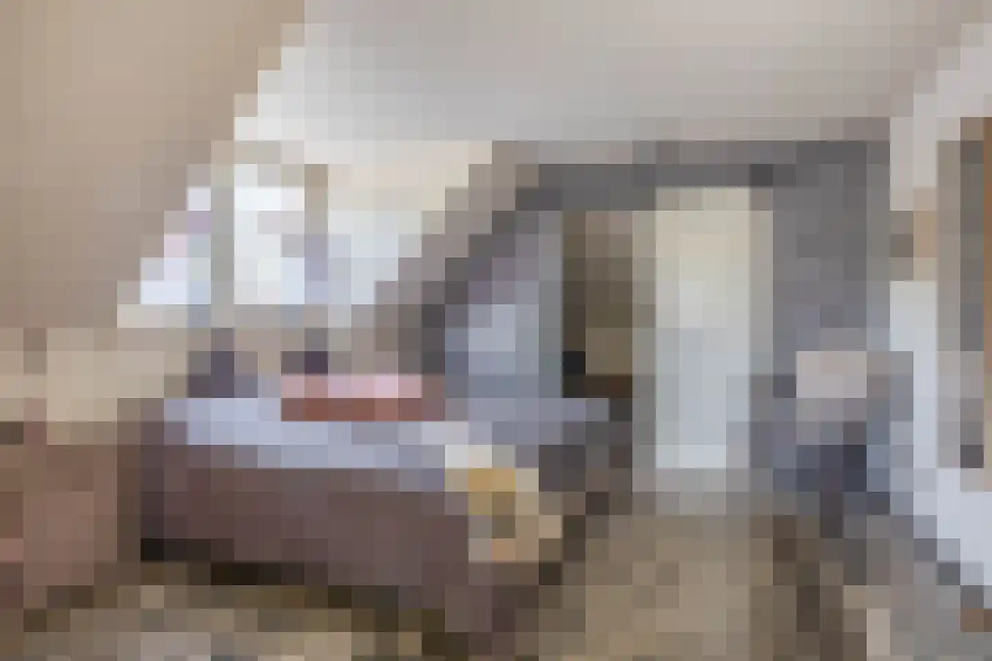 Goudhaver 8 Steyl thumbnail 9