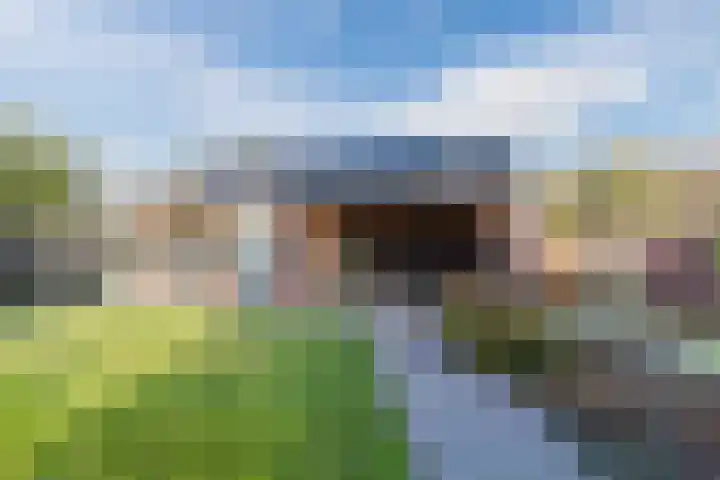 Goudhoeksland 47 Nuenen thumbnail 31