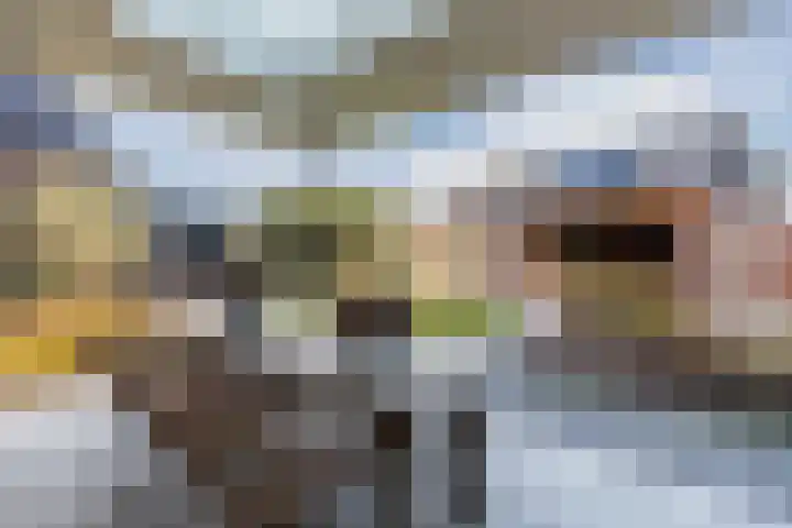 Goudhoeksland 47 Nuenen thumbnail 33