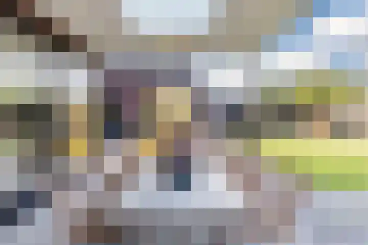 Goudhoeksland 47 Nuenen thumbnail 34