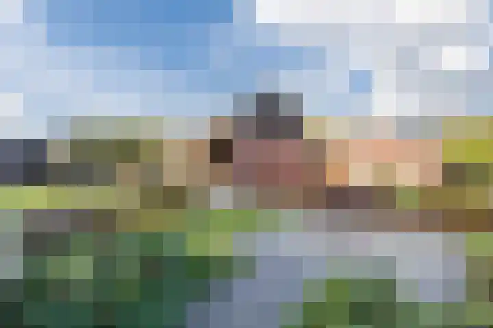 Goudhoeksland 47 Nuenen thumbnail 35