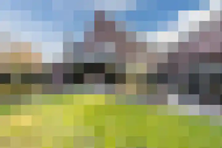 Goudhoeksland 47 Nuenen thumbnail 36