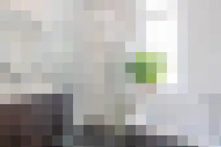 Goudhoeksland 55 Nuenen thumbnail 31