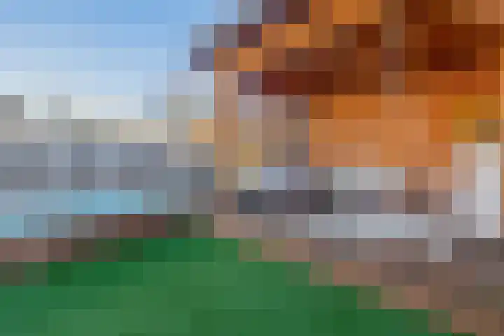 Goudhoeksland 55 Nuenen thumbnail 46