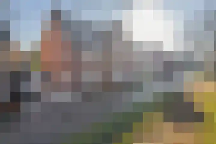 Goudhoeksland 55 Nuenen thumbnail 5