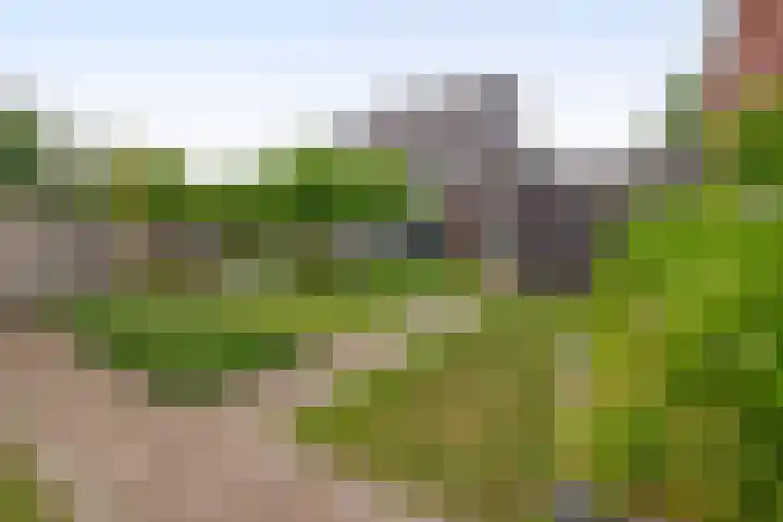 Goudhoeksland 75 Nuenen thumbnail 34