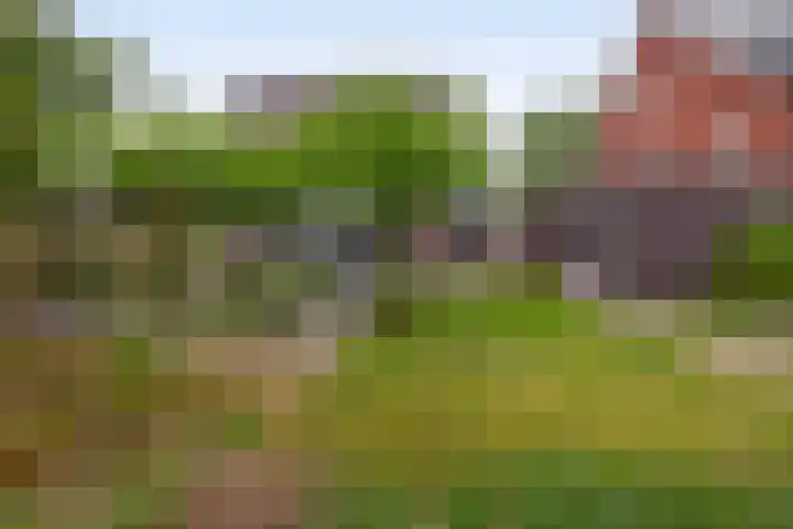 Goudhoeksland 75 Nuenen thumbnail 35