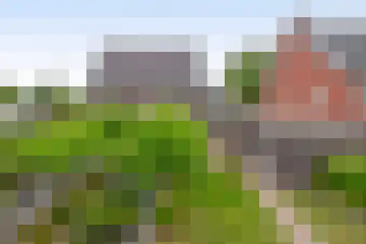 Goudhoeksland 75 Nuenen thumbnail 36