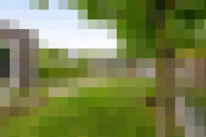Goudhoeksland 75 Nuenen thumbnail 37