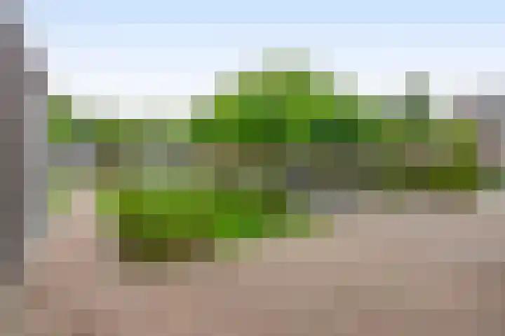 Goudhoeksland 75 Nuenen thumbnail 39
