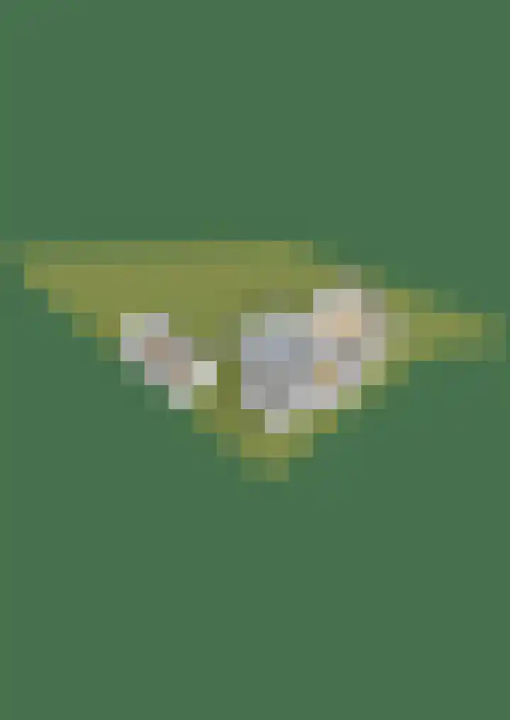 Goudhoeksland 75 Nuenen thumbnail 47
