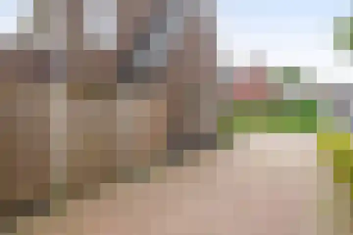 Goudhoeksland 75 Nuenen thumbnail 5
