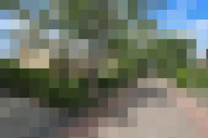 Goudhoekweg 18 a Oostvoorne thumbnail 5