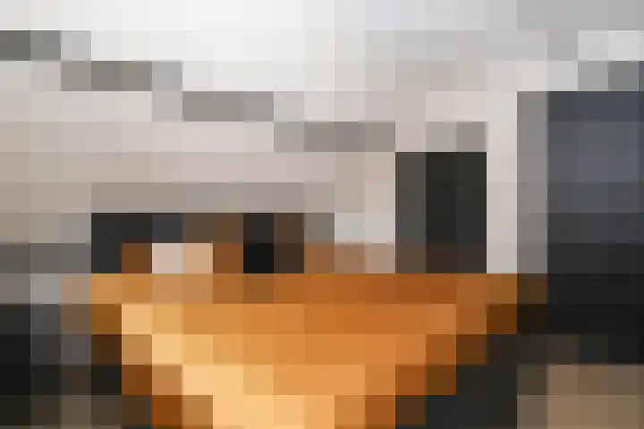 Goudhoekweg 18 a Oostvoorne thumbnail 50