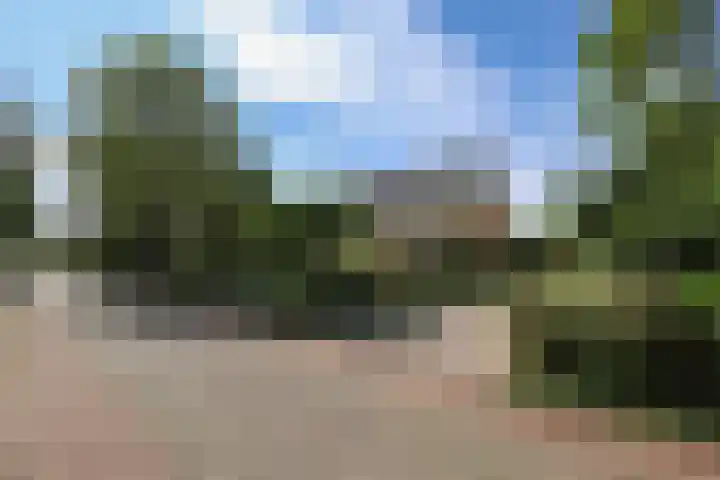 Goudhoekweg 18 a Oostvoorne thumbnail 6