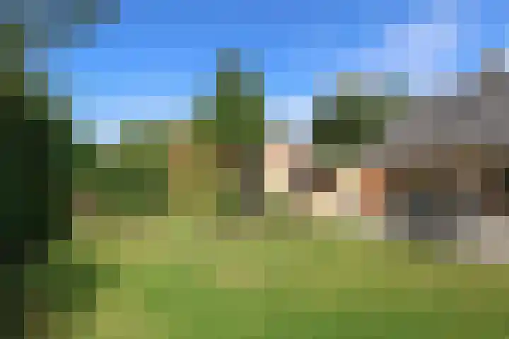 Goudhoekweg 18 a Oostvoorne thumbnail 62
