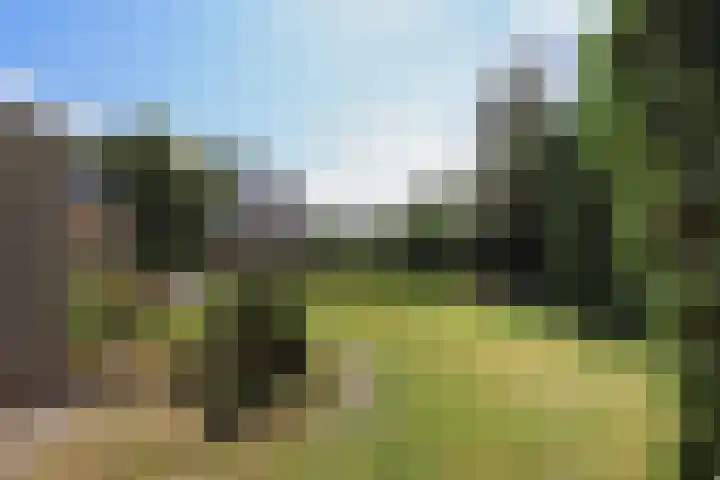 Goudhoekweg 18 a Oostvoorne thumbnail 64