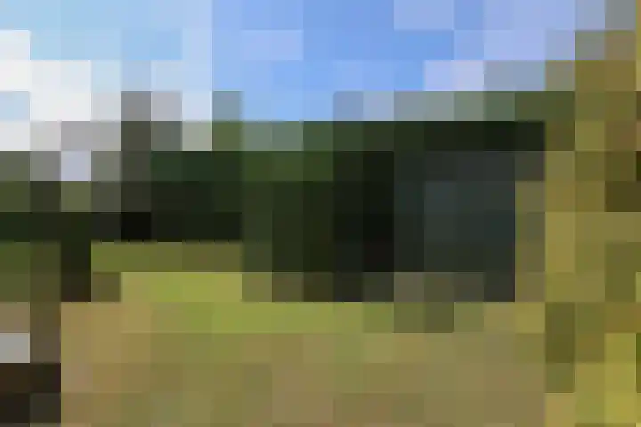 Goudhoekweg 18 a Oostvoorne thumbnail 65