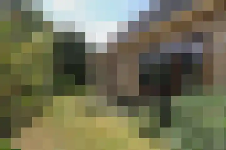 Goudhoekweg 18 a Oostvoorne thumbnail 66