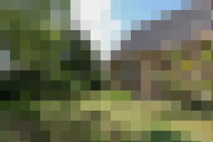 Goudhoekweg 18 a Oostvoorne thumbnail 68